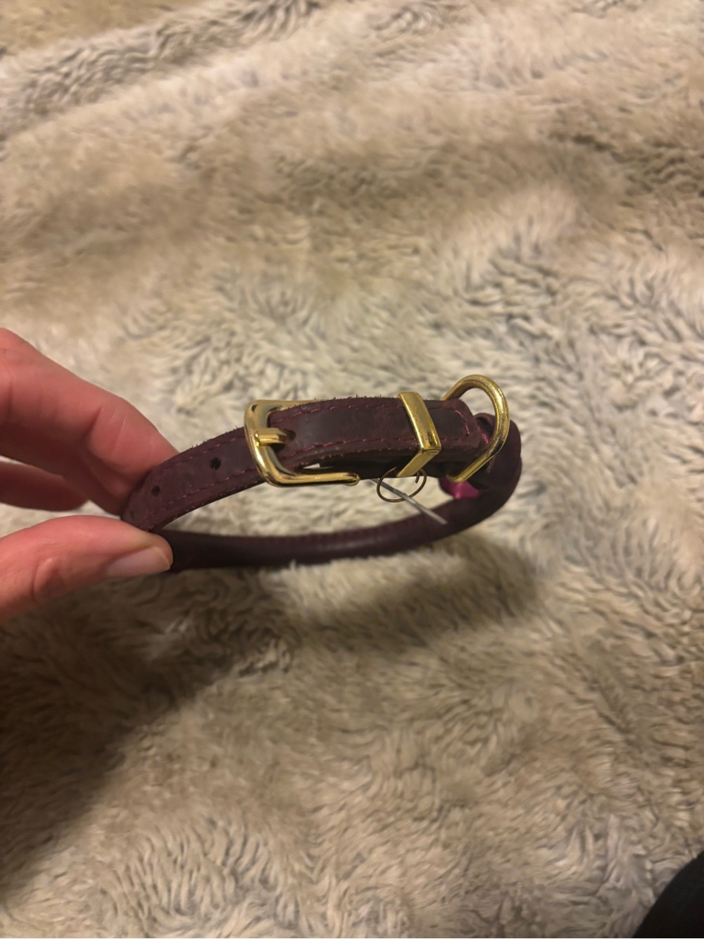 XS Rolled Leather Dog Collar